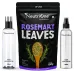 NeutriOne Rosemary Dried Leaves for Hair Growth|With 100ml Spray Bottle