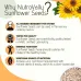 NutroVally Pumpkin & Sunflower Combo for Weight Loss